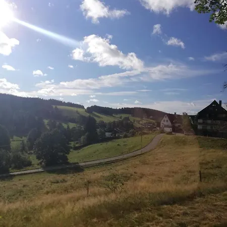 Haus Elena Apartman *